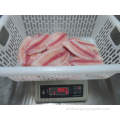 Frozen Organic Weleless Skinless Skinless Tilapia Fish Filé de peixe